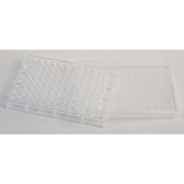 WELL PLATE, CLEAR PLASTIC